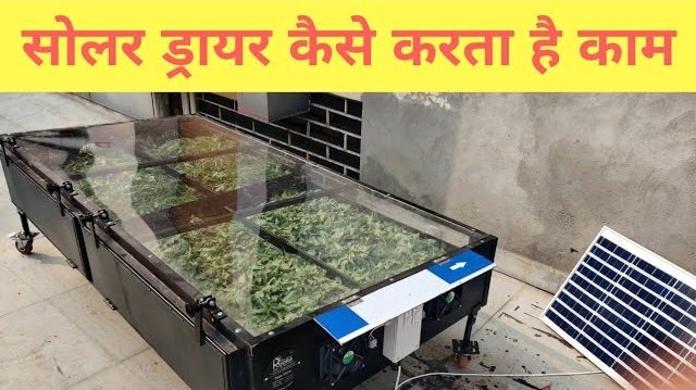 Solar Crop Dryer से बदल रही किसानों की तकदीर, जानिए इसके जबरदस्त फायदे